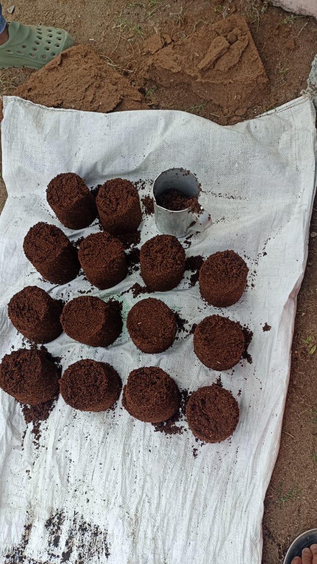 Finished cocopeat products ready for distribution